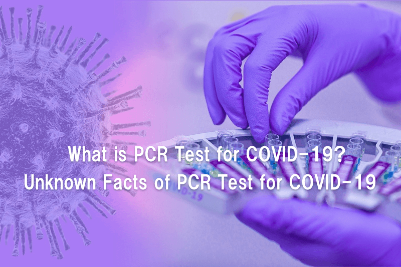 What is PCR?